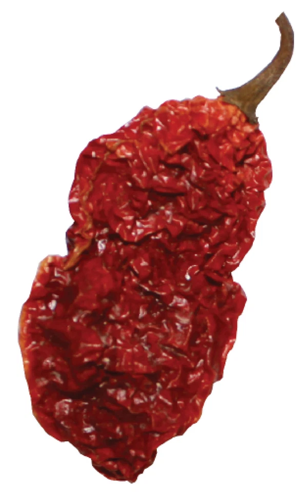 Dried Whole Ghost Peppers Chile Pepper Pods 1 oz Hot 25 Peppers Wicked Tickle - Image 2 of 4