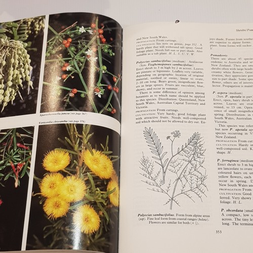 Australian Native Plants by John W. Wrigley Propogation Cultivation Landscaping - Picture 22 of 23