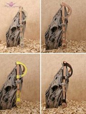 Triple W Zweiohrkopfstück Westerntrense Showtrense punziert Strass Conchos gelb
