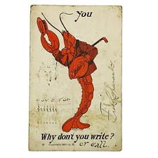 Anthropomorphic Lobster Vintage Postcard 1905 Why Don’t You Write? Posted NY