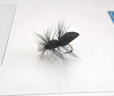 1 Dozen HI VIZ FOAM ANT dry flies size # 12, 14, 16