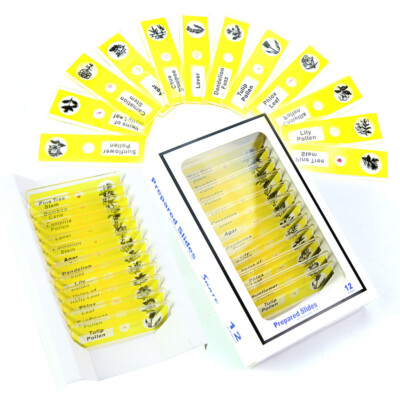 Piccola Guida A Insetti E Altri Piccoli Animali Di Alison Davies - Foto 14