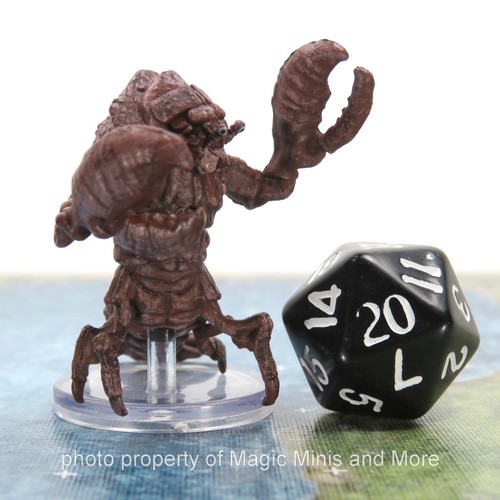 Seas & Shores ~ ALDANI #25 D&D Icons of the Realms miniature - Picture 3 of 3
