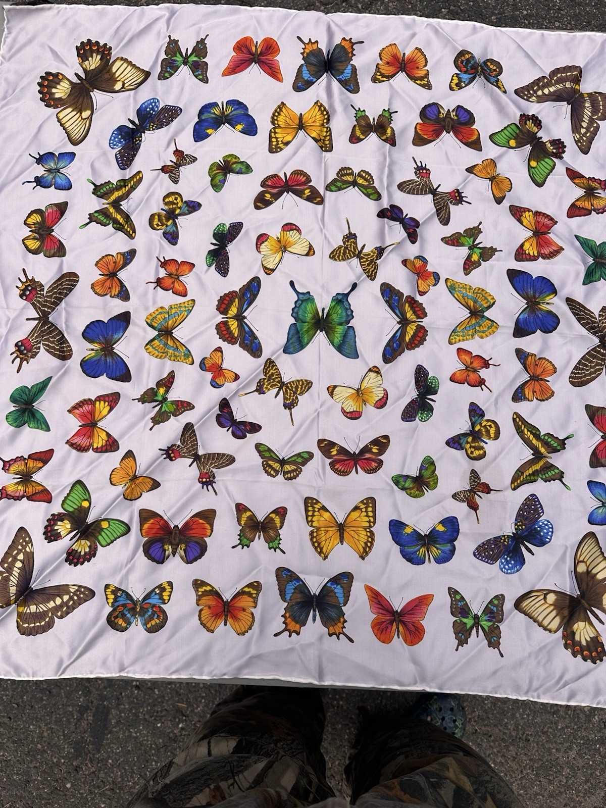 Gorgeous VTG Butterfly Silk scarf Exclusive Design CSL Made In Italy 30”x 30”