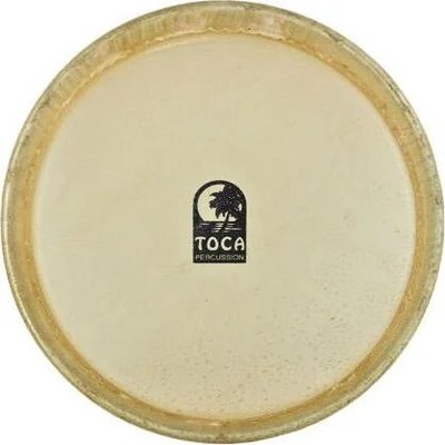 TOCA 9 in BONGO HEAD
