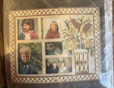 Bucilla Needlepoint Dried Flowers 12x15'' Picture Frame Plastic Canvas Kit #4178