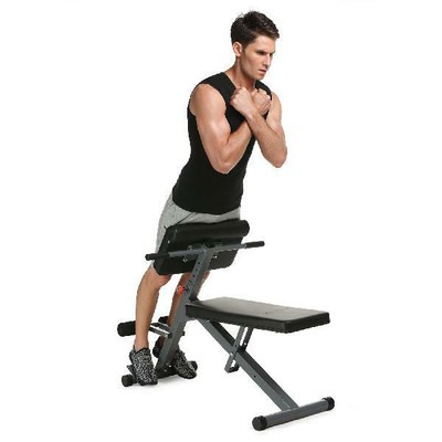 Back Extension Bench Fitness Multi Workout Adjustable Stamina