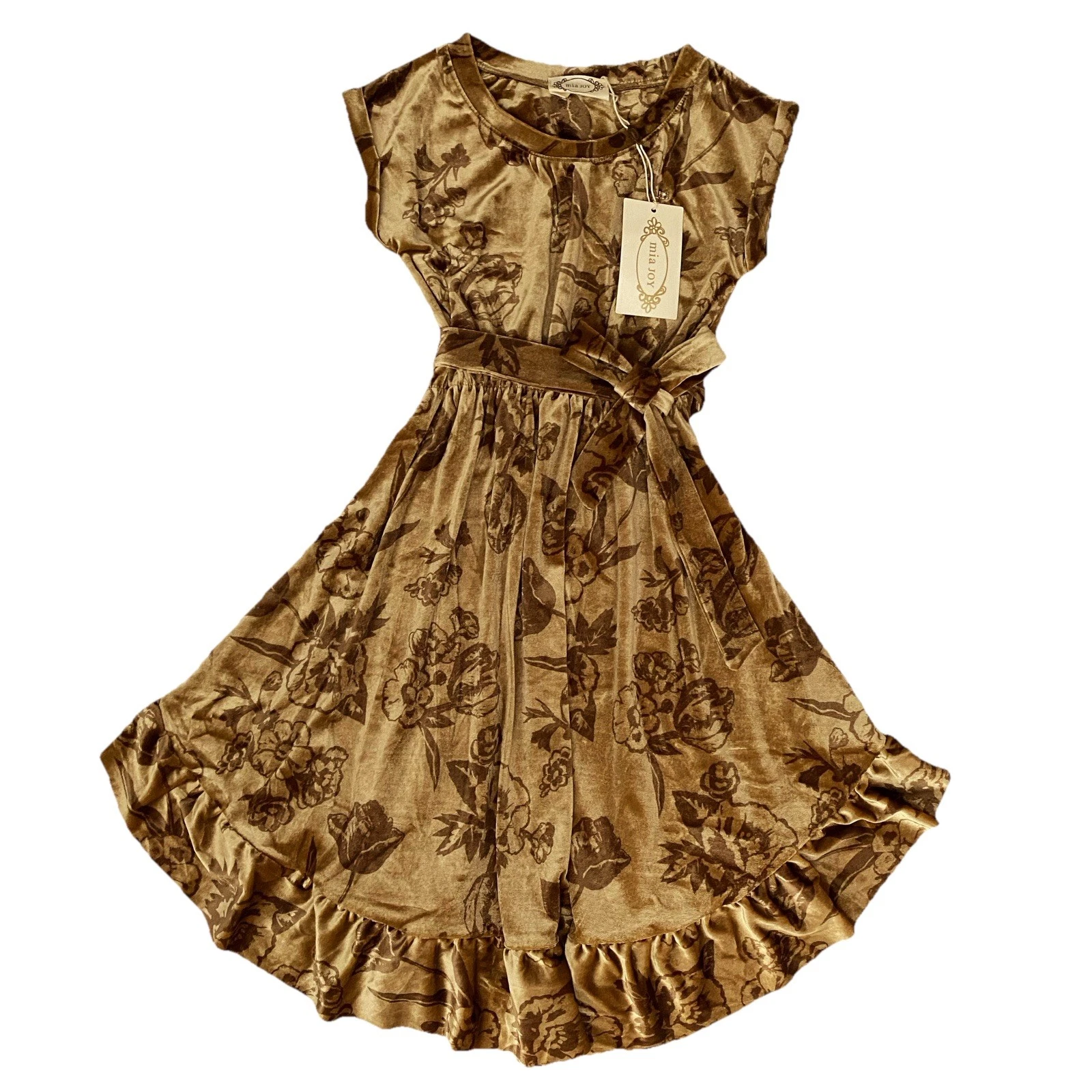 Joyfolie Mia Joy Amoura Dress Girl’s 7 Velvet Floral Dress Fall Autumn Holiday
