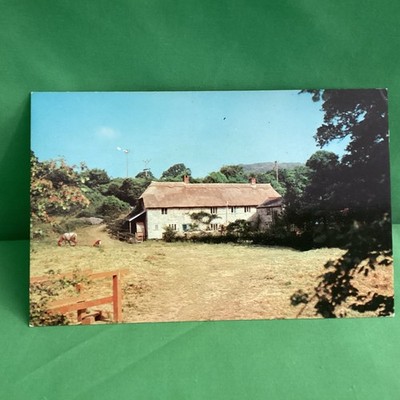 The Old Mill, Lyme Regis, Chrome Postcard, unposted