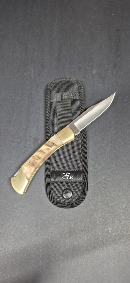 Custom Buck 110 Folding Hunter Knife Ram Horn Handle Scales 2025 - Image 2 of 4