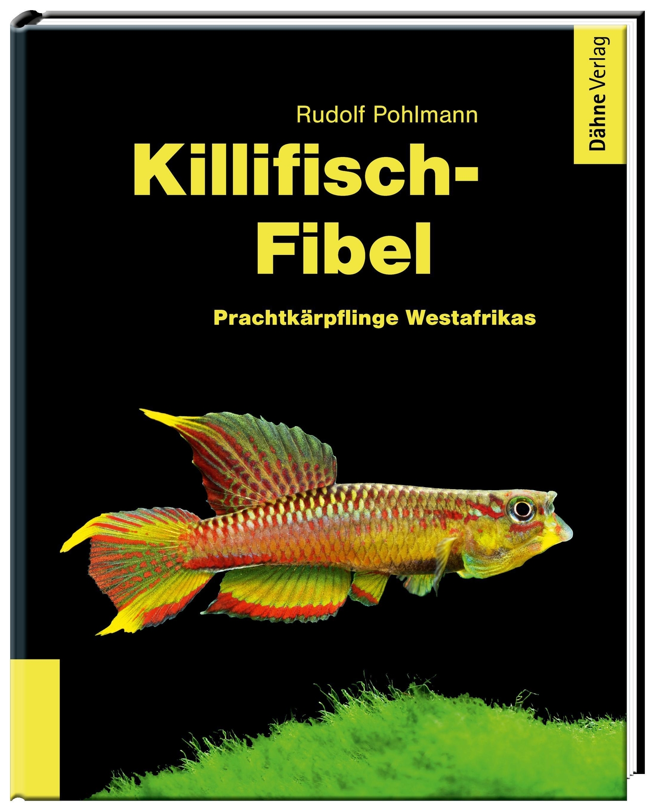 Thumbnail - Killifisch-fibel | Rudolf Pohlmann | Buch | 96 S. | Deutsch | 2019