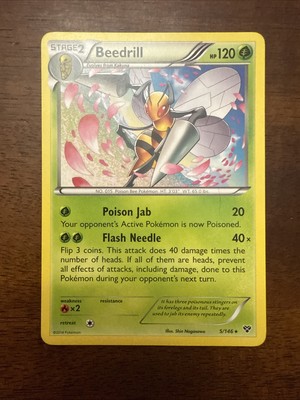 Beedrill 5/146 XY Regular