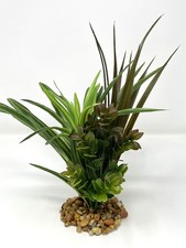 10" Brown SWORD Grass, Dk Green DRACAENA Brown BOXWOOD 816 combo plant, stone