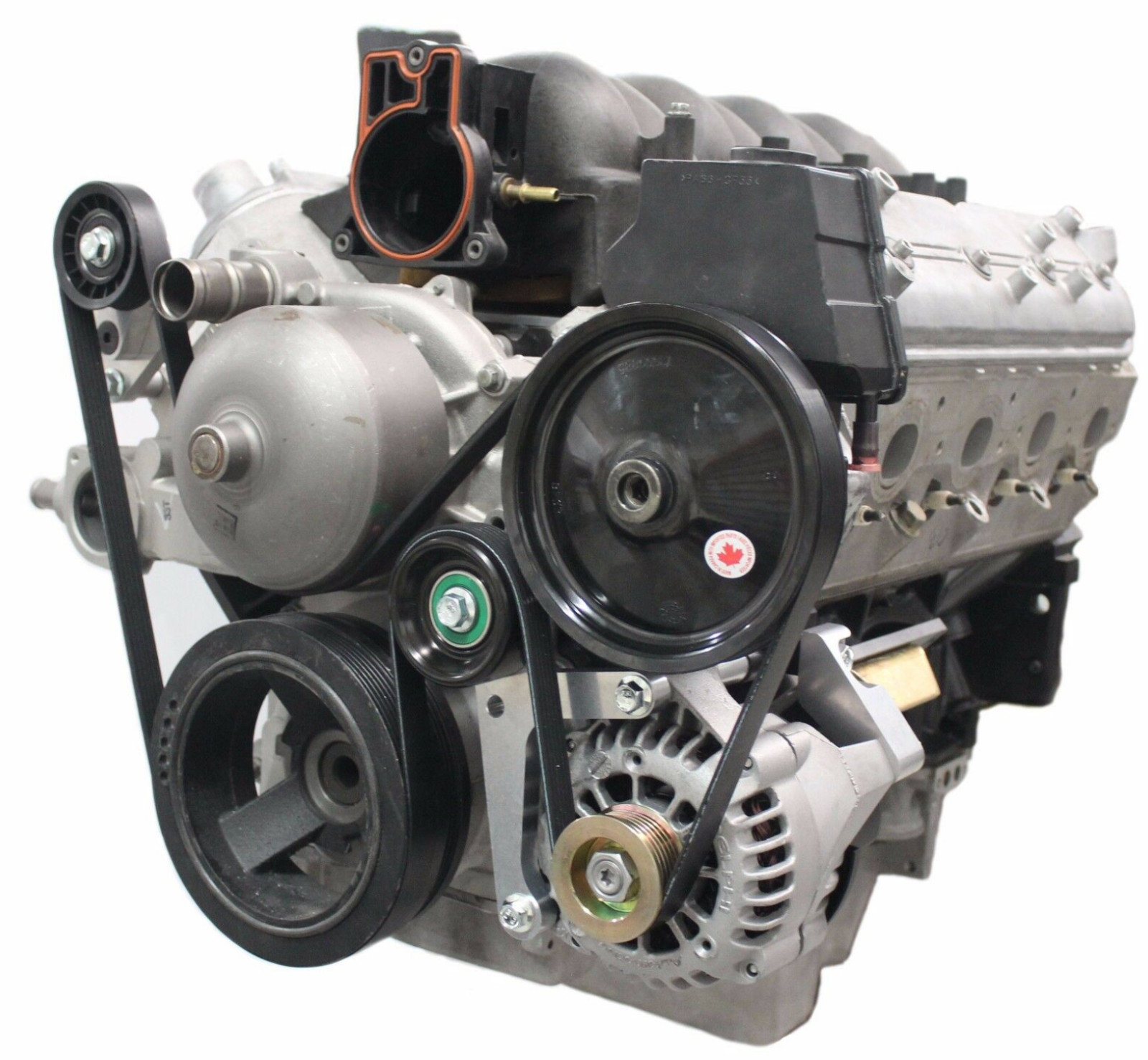 LS Truck Alternator Bracket Low Mount LSX LS1 LS2 LS3 F Body 5.3 6.0 LQ4 LQ9 US