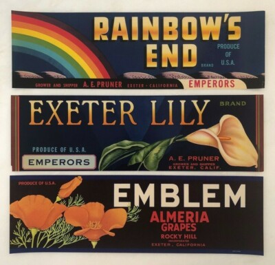 3 RAINBOW Poppy LILLY Fruit Crate Label VINTAGE Advertising EXETER ...