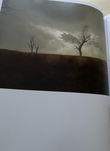 Todd Hido: Intimate Distance : AS NEW, SIGNED, Aperture, 2016, First Edition - Picture 8 of 15