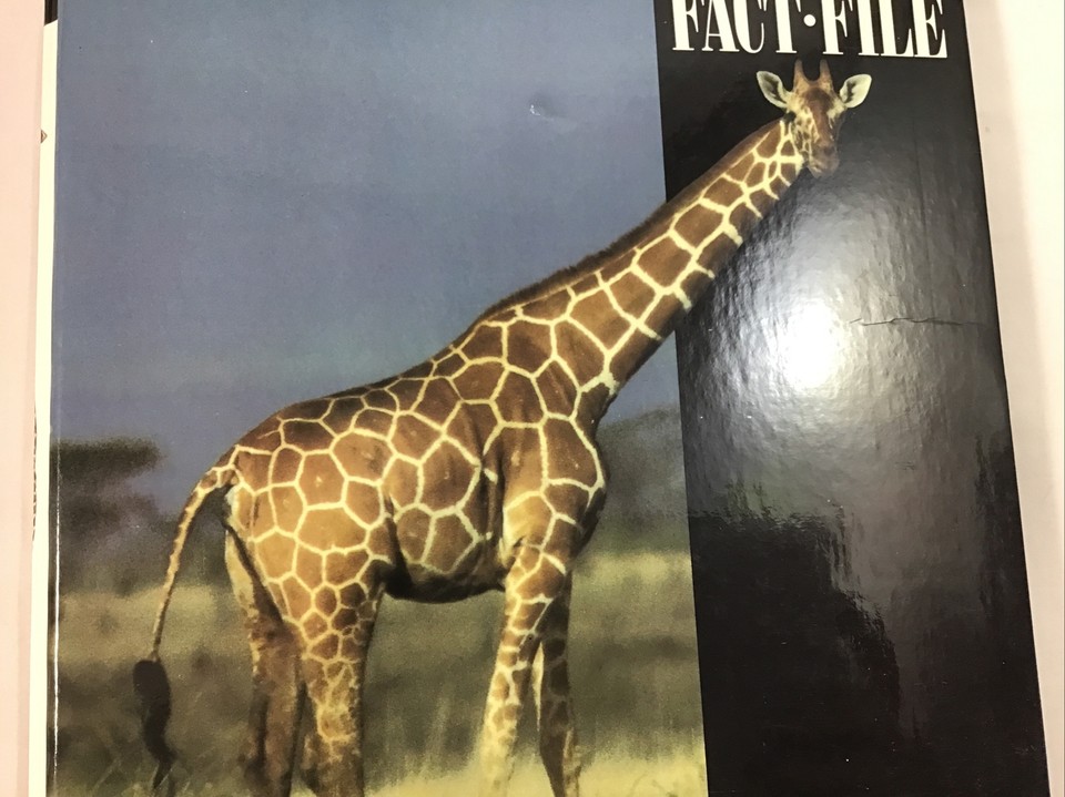 Facy File Wildlife Fact File Binder with Groups 6-11 Cards Incomplete | eBay