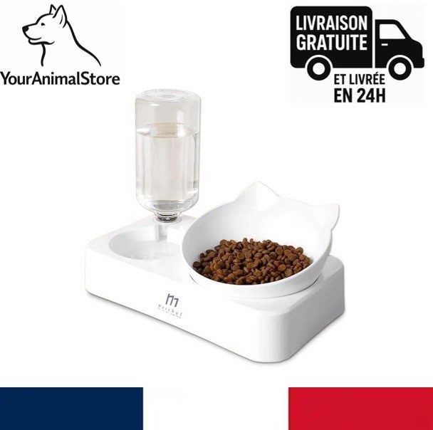 Gamelle chat inclinée anti-vomissement double avec réservoir eau automatique