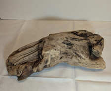 Driftwood aquarium terrarium beach decor taxidermy Centerpiece Oregon Coast