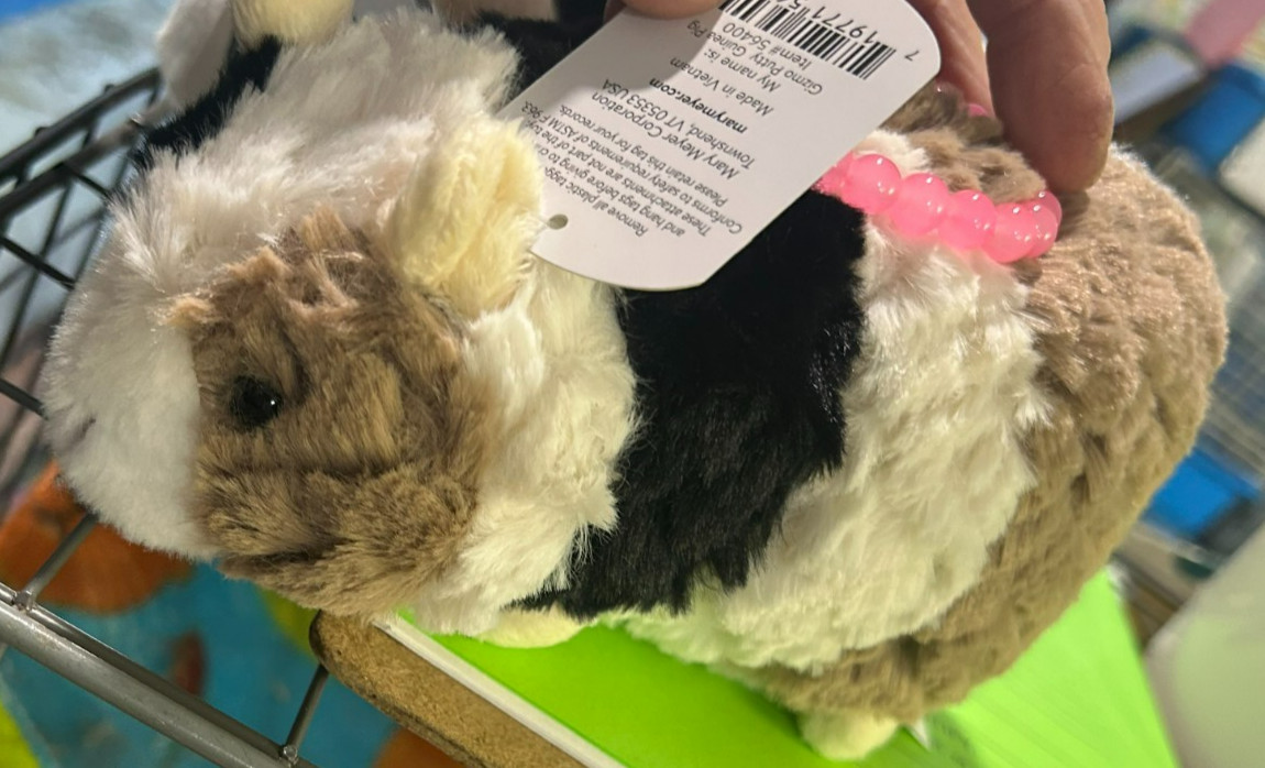 FOR JENN - PIGGY / BRACELET  / SHOPPING CART / PIGGY KEYCHAIN