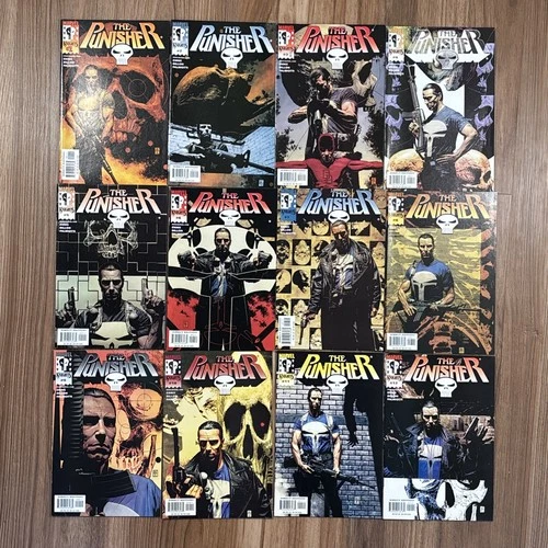 Marvel Knights: The Punisher • Comic Book Lot, Complete Set of 12 • 1999-2000