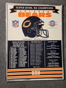 Chicago Bears 1985 Superbowl XX 20 Championship 19"x14" Hanging Sign NFL