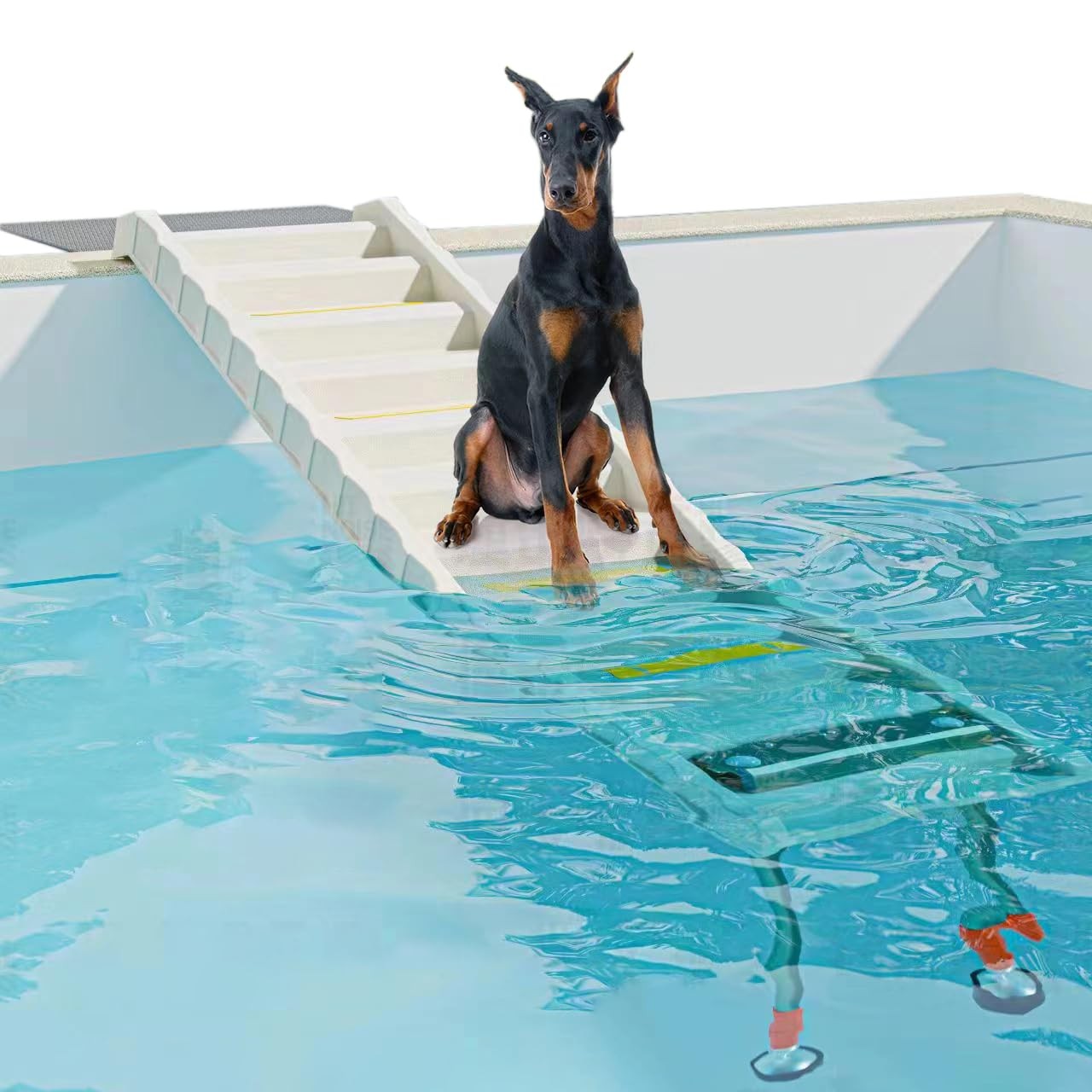 Foldable Dog Pool Ramp with 33 Inch Adjustable Legs for Safe Easy Access