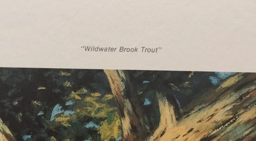 1989 GEORGE LUTHER SCHELLING " WILDWATER BROOK TROUT" SIGNED PRINT 15 of 600 - Picture 3 of 5