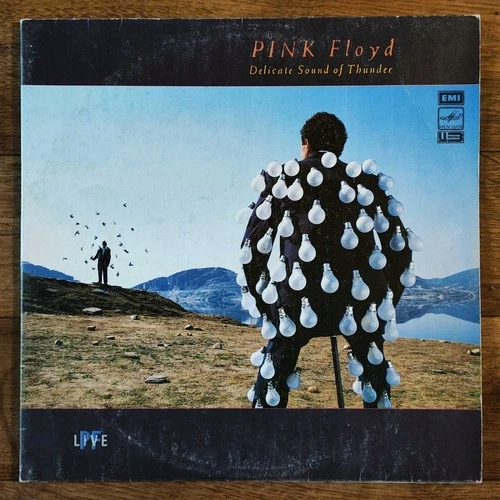 Pink Floyd – Delicate Sound Of Thunder 2LP /USSR: Мелодия - 1990/