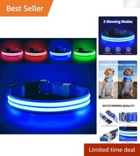 High Visibility Light Up Dog Collar - Rechargeable with Adjustable Fit