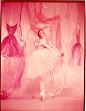 Leslie Caron Ballerina Pose Daddy Long Legs 1955 Original 8x10 Transparency
