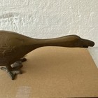 Foto 9 di 19