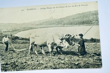 Biarritz Basque Hitch 1907