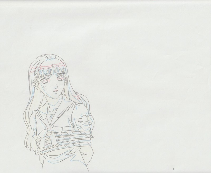 The Twelve Kingdoms Juuni Kokki Genga Douga Original Sketches Pierrot - Youko