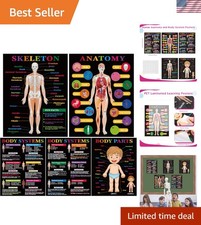 5 Pcs Human Anatomy and Body Systems Posters 16 x 11 Inch Laminated Medical L...