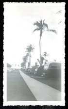 Vintage Photo BRINY BREEZES TRAILER PARK DELRAY BEACH FLA 1949