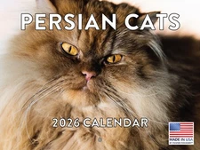 Persian Cat Calendar 2026 Monthly Wall Calender 12 Month Made In The USA