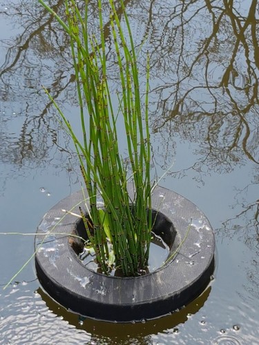 Pondh2o schwimmender Pflanzkorb Wasser Gartenteich, 14 Zoll runder Stoff - Bild 3 von 5