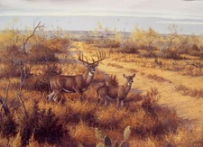 David Drinkard - Maverick Monster  - LTD ED Print