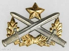 Vietnam War ARVN South Vietnamese Ranger Pin Badge. Heavy Clutch Back F552