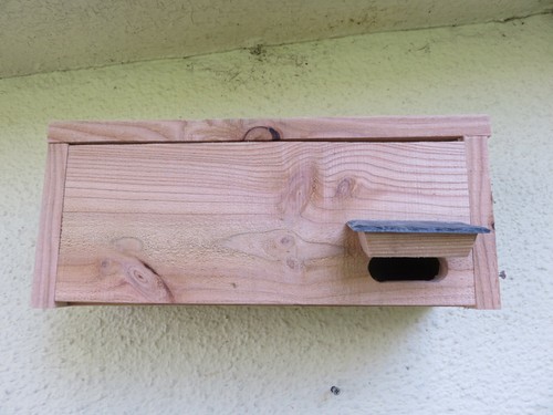 Swift Bird Nest Box house - 100% natural - Picture 4 of 10