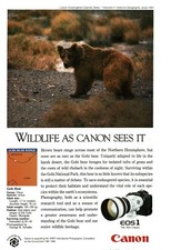 1992 CANON EOS1 35mm camera Gobi Brown Bear Vintage Print Ad