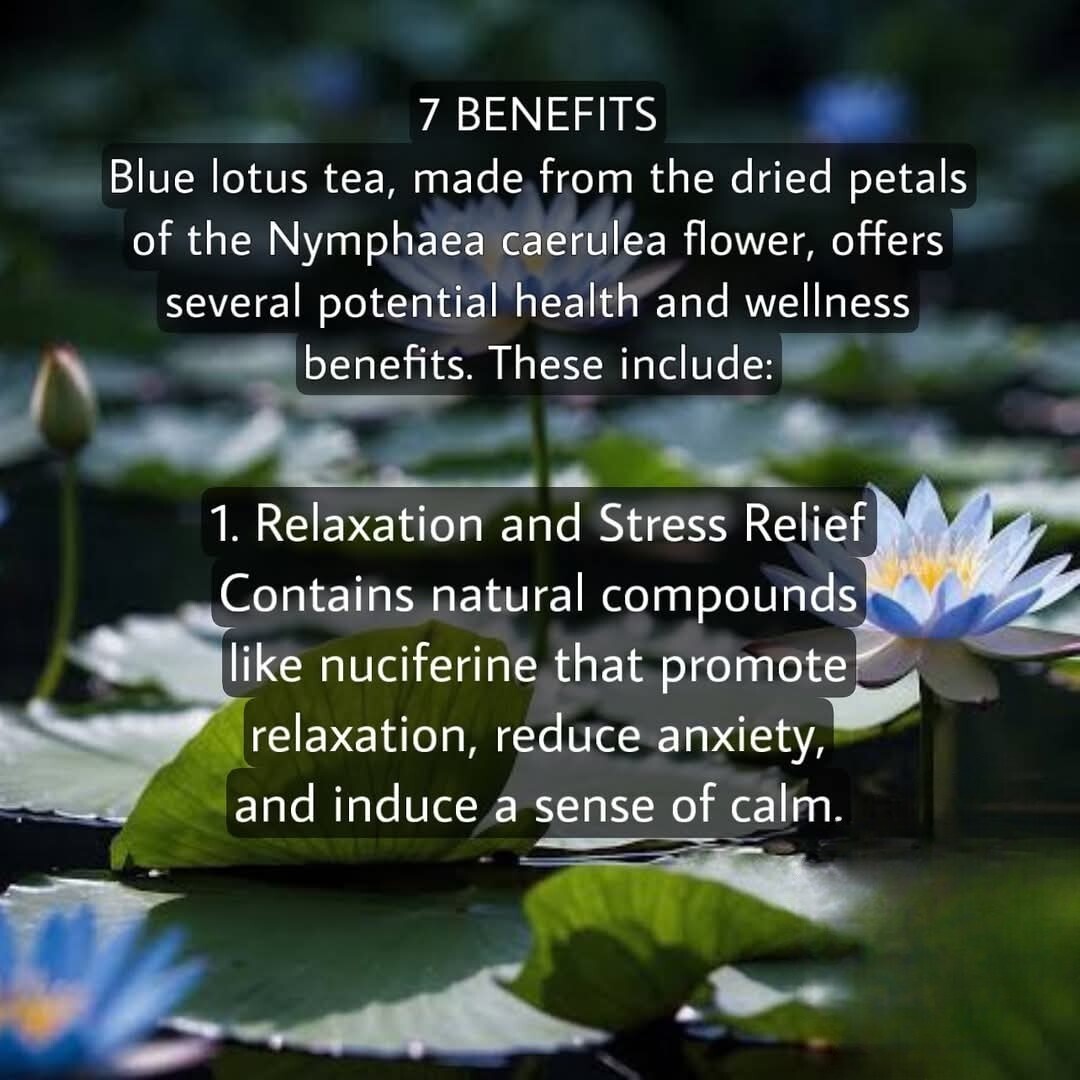 Blue Lotus Whole Flower Tea Decor No Chemicals A Grade Wild Grown Organic Herbal