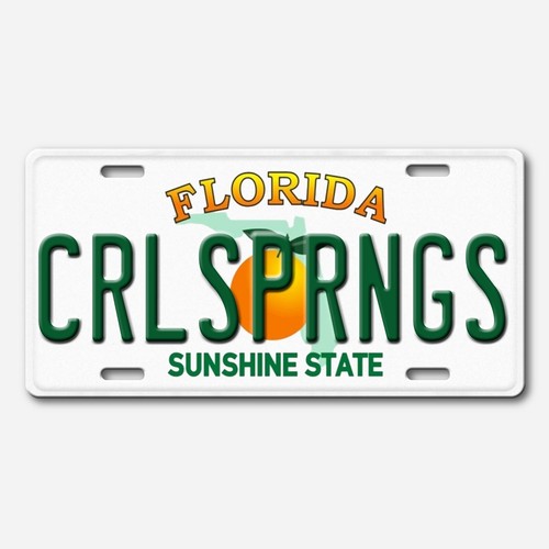 Coral Springs Aluminum Florida License Plate Tag NEW eBay