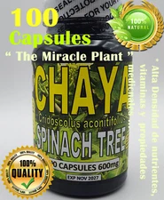 Chaya,Chaya 100 Caps, Mayan miracle plant, Chaya tree, organic spinach tree !!!