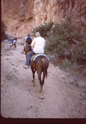 Photograph 35mm Slide July 1986 Havasu Arizona Horse Trail