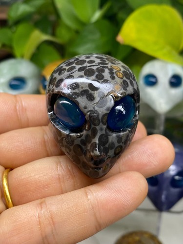 1pc Natural Unknown Quartz Carved Alien Skull Crystal Reiki Healing Gem Gift - Picture 2 of 6