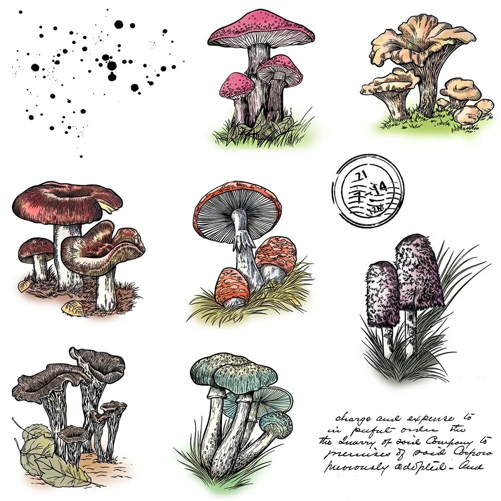 Summer Mushroom Metal Dies Clear Stamps for Scrapbooking Cards