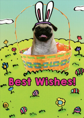 RSVP Pug with Bunny Ears Sitting in Basket Funny  Humorous Dog Easter Card