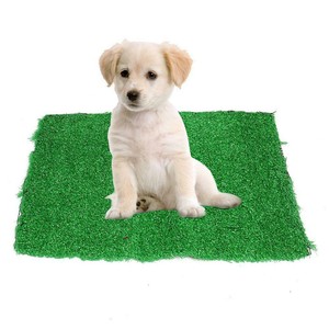 puppy potty trainer indoor grass
